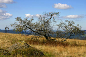 Der Kreuzberg mit den 3 Kreuzen
