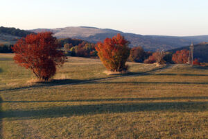 Die Kreuze unterhalb des Kreuzberges